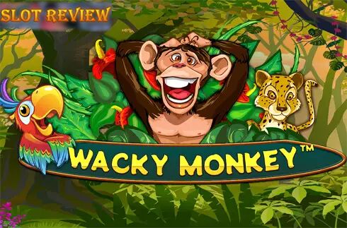 Wacky Monkey Slot Review